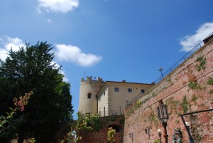 il castello con la sua torre circolare