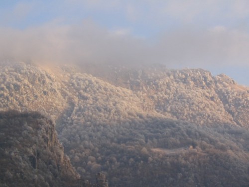 Ballabio - batuffoli di neve Ballabio - batuffoli di neve