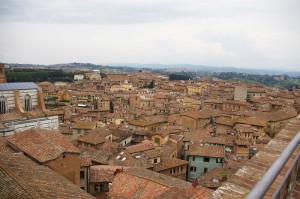 I tetti di Siena