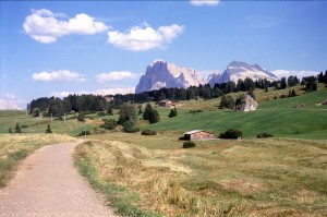 ALPE DI SIUSI