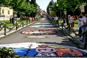 Infiorata 2009 Mogliano