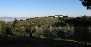 Il sogno di Ferdinando