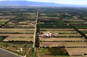 Panoramica dei terreni che circondano Arborea