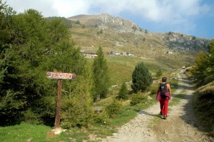 Arrivo all’Alpe Pescedo