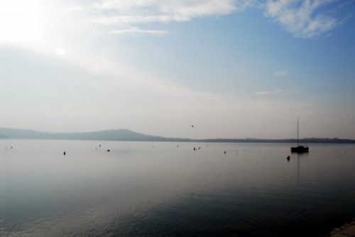 Viverone - Il Lago di Viverone, forme galleggianti