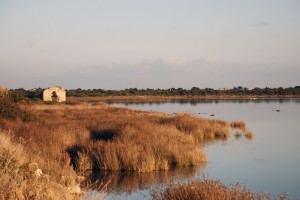 La Salina dei Monaci, foto 3