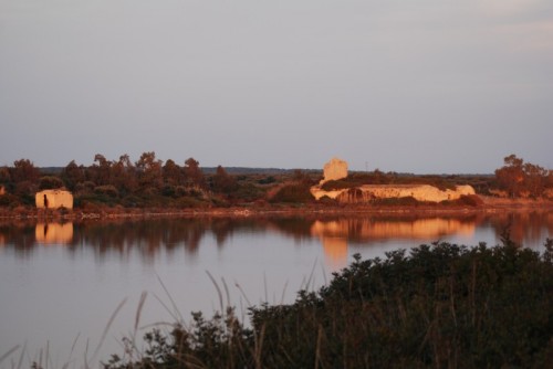 Manduria - La Salina dei Monaci, foto 4 Manduria - La Salina dei Monaci, foto 4