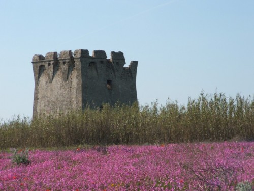 Manduria - Torre Borraco Manduria - Torre Borraco