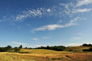 Parco della Caffarella