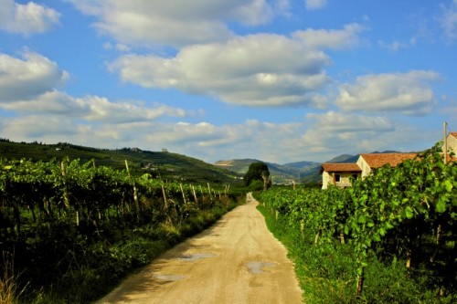 Illasi - Illasi Illasi - Illasi