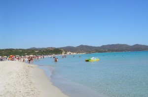 Il Paradiso del Timi Ama