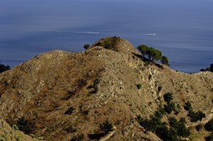 la “Gobba ” del cammello