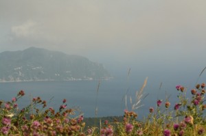 Monte di Portofino visto da Genova…