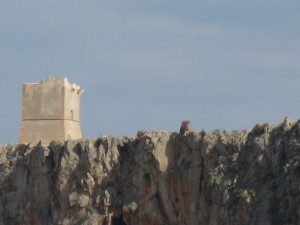 torre isulidda nel golfo del  Cofano