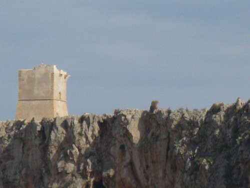 San Vito Lo Capo - torre isulidda nel golfo del  Cofano