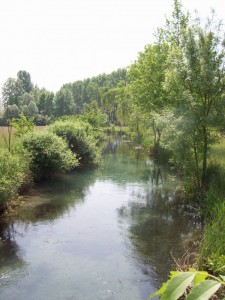 Una risorgiva del Parco Naturale I.Nievo a Cordovado