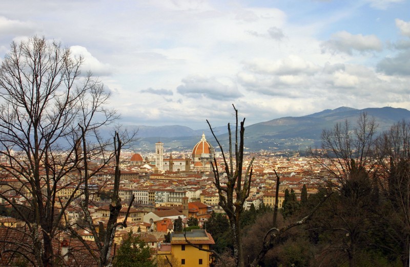 ''Firenze a fine inverno'' - Firenze