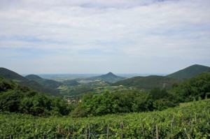 Panorama dal Monte Fasolo