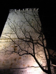 Torre dell’elefante di notte