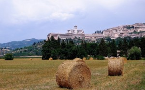 Assisi e i colori d’Umbria