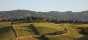 Lajatico panorama estivo