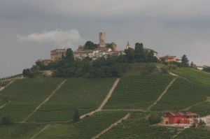 Panorama di Castiglione Falletto