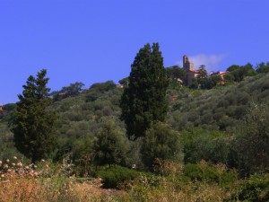 La Rocca di Campagnatico