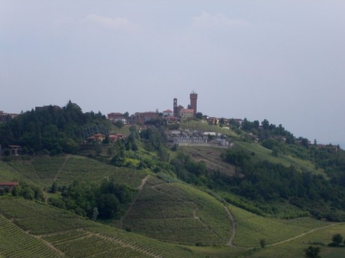 Mongardino - Mongardino, panorama