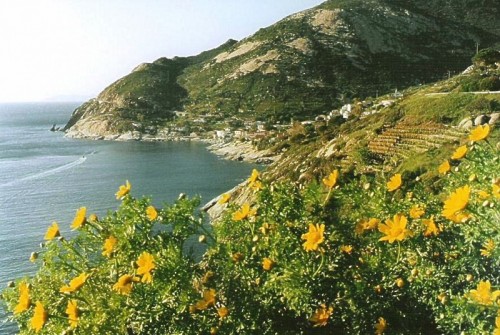 Marciana - Chiessi, costa ovest dell'Elba