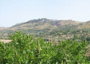 Buon giorno Buscemi uno