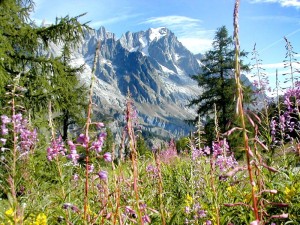 Vista del massiccio del Monte Bianco