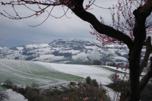panorama innevato