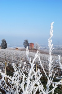 Brinata nei pressi del Parco di Rocchetta Tanaro