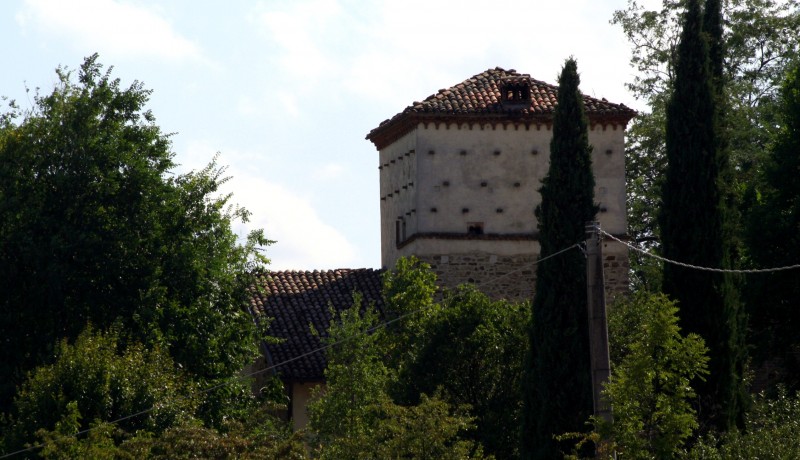 ''Torre di Borzano'' - Albinea