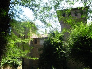 Castello di Cherasco (2)