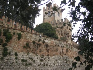 Castel de Coneian
