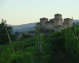 nascosto tra le vigne