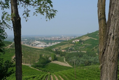 Broni - Afa padana Broni - Afa padana