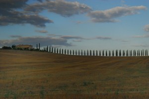 Colline senesi