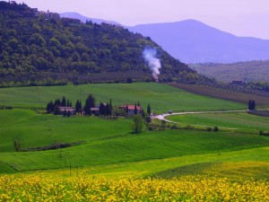 La strada provinciale del Cipressino