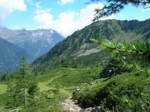 Telve di Sopra - Val Trigona - Lagorai Telve di Sopra - Val Trigona - Lagorai