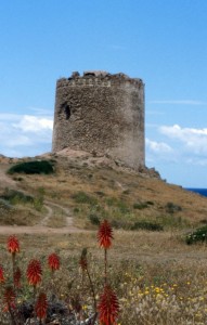 La Torre di Isola Rossa