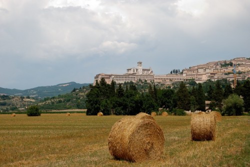 Assisi - Assisi e i colori d’Umbria