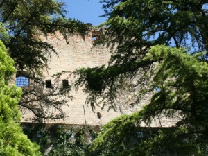 Ruderu del castello di Calvignano