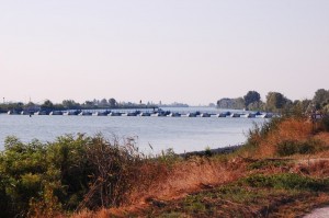 Ponte di Barche
