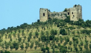 Un castello a  cinque torri