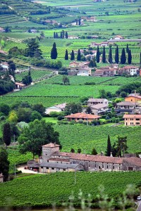 nella verde vallata