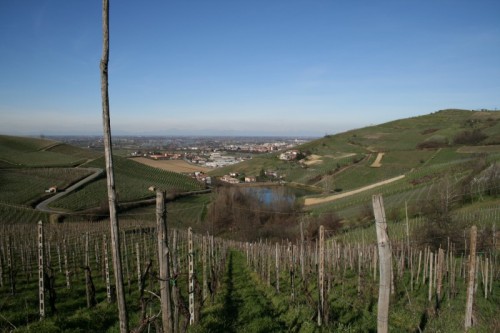 Cigognola - Veduta da Cogognola Cigognola - Veduta da Cogognola