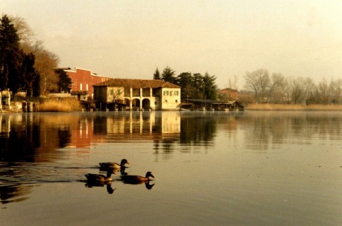 Pusiano - Una nuotatina romantica sul lago di Pusiano