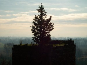 Vicopisano - Torre di Pietraia